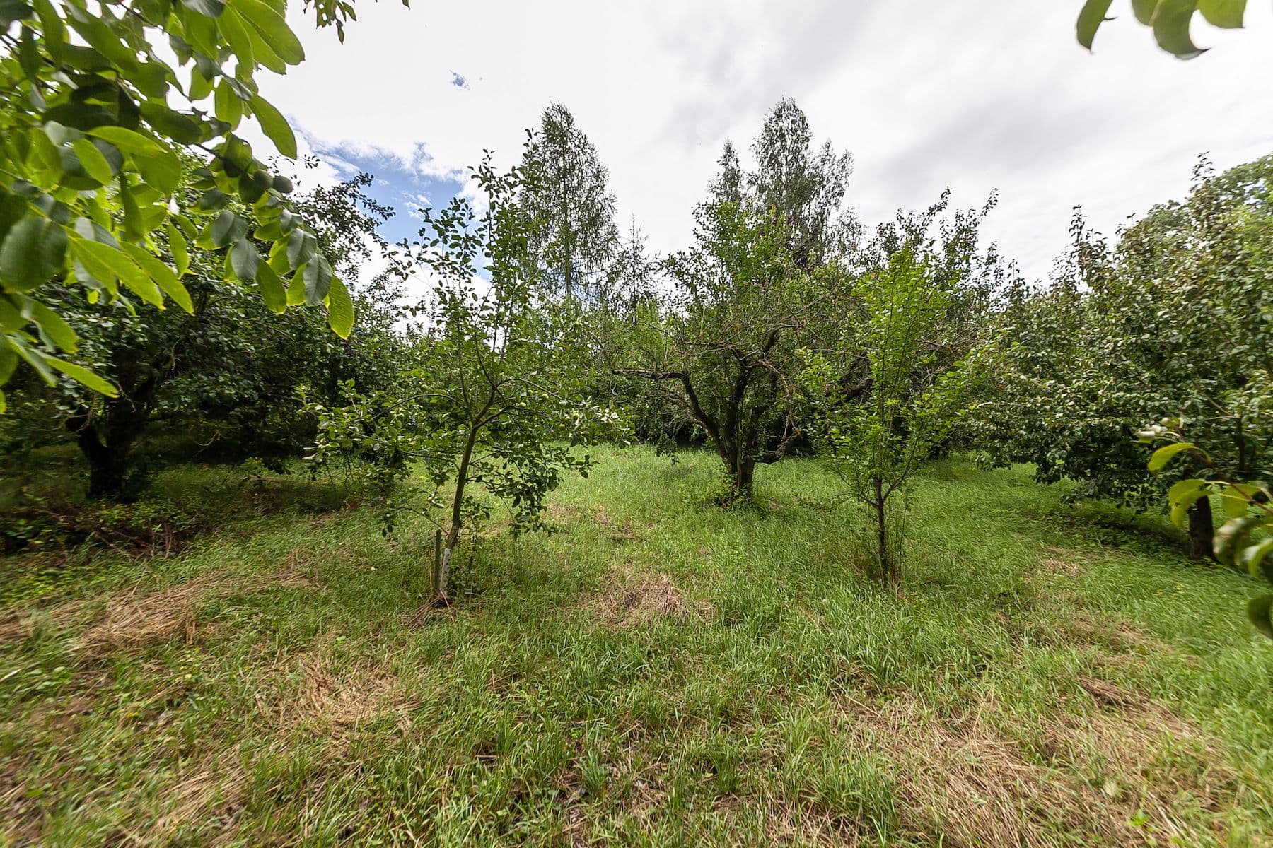 plot for sale, 2,621 m², Únětice, Údrnice, Královéhradecký Region plot for sale, 2,621 m², Únětice, Údrnice, Královéhradecký Region