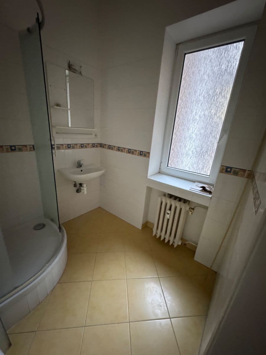 1 bedroom with open-plan kitchen flat to rent, 85 m², Jiráskova, Brno, Jihomoravský Region 1 bedroom with open-plan kitchen flat to rent, 85 m², Jiráskova, Brno, Jihomoravský Region