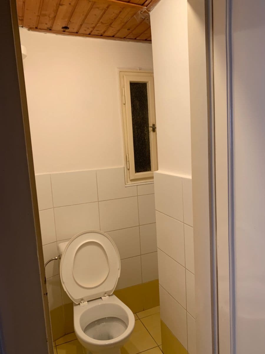 1 bedroom with open-plan kitchen flat to rent, 54 m², 28. pluku, Prague, Prague 1 bedroom with open-plan kitchen flat to rent, 54 m², 28. pluku, Prague, Prague