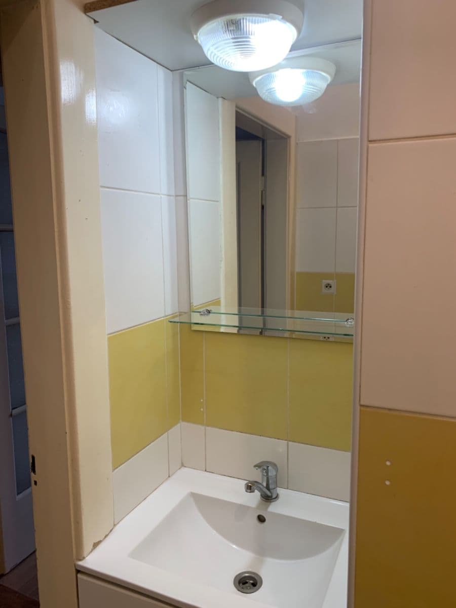 1 bedroom with open-plan kitchen flat to rent, 54 m², 28. pluku, Prague, Prague 1 bedroom with open-plan kitchen flat to rent, 54 m², 28. pluku, Prague, Prague