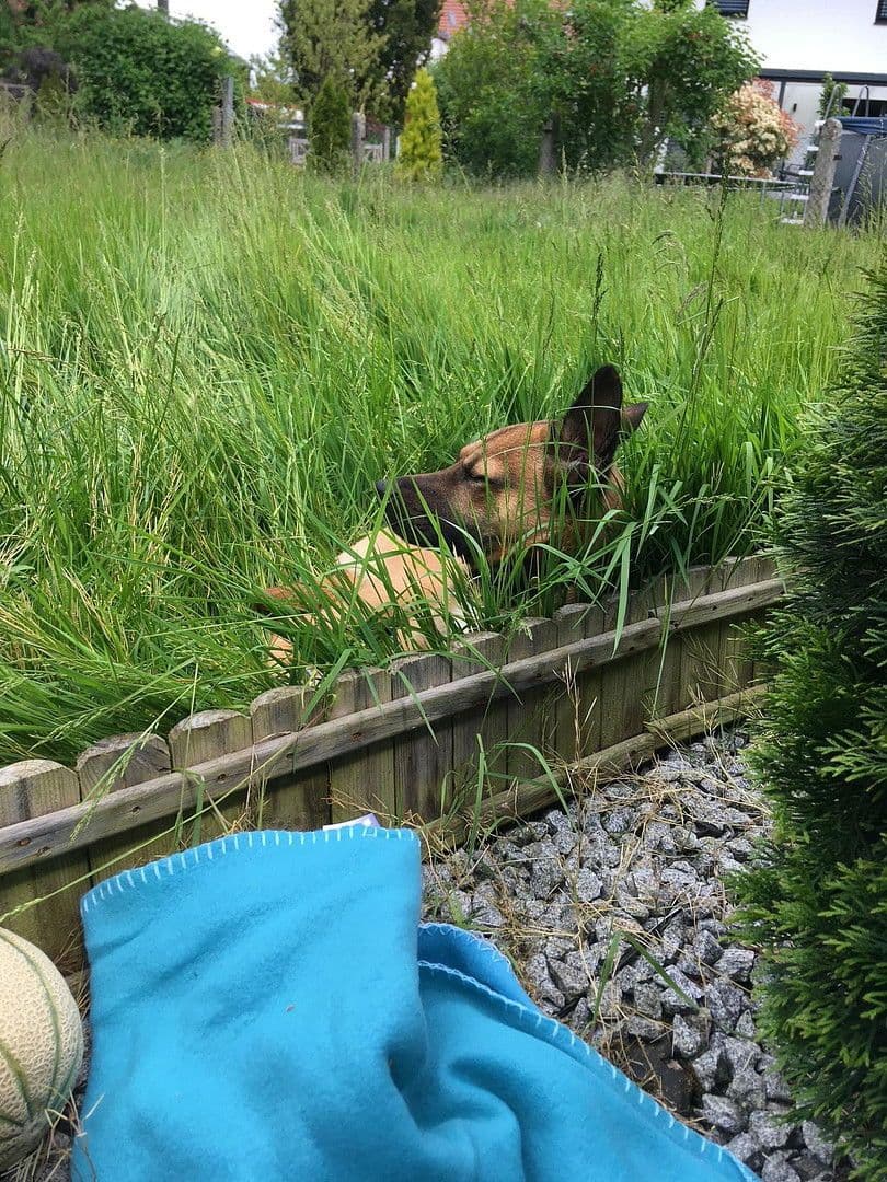 house for sale, 130 m², Landshut, Bavaria house for sale, 130 m², Landshut, Bavaria