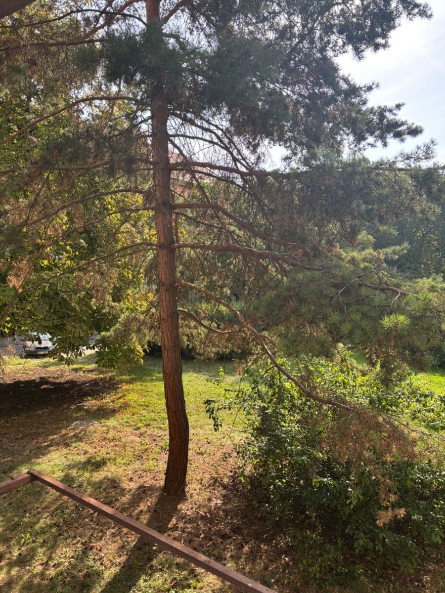 2 bedroom flat to rent, 54 m², Oldřicha Wenzla, Mělník, Středočeský Region 2 bedroom flat to rent, 54 m², Oldřicha Wenzla, Mělník, Středočeský Region