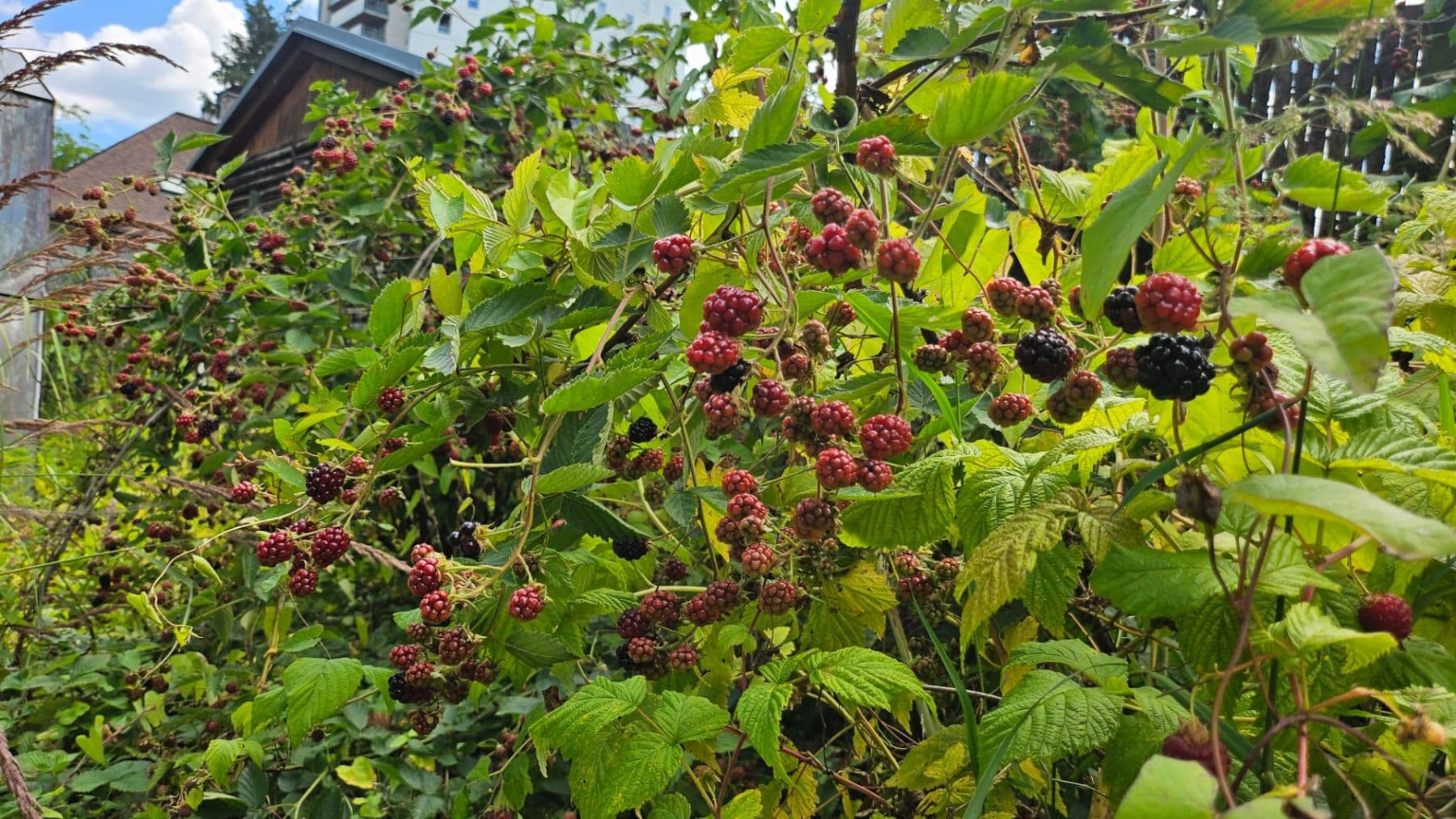 house for sale, 120 m², Čulenova, Žilina, Žilinský Region house for sale, 120 m², Čulenova, Žilina, Žilinský Region