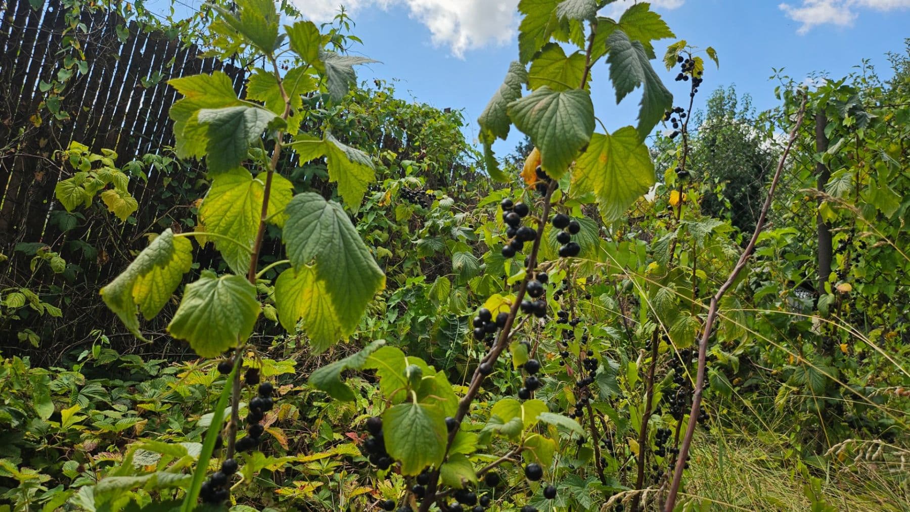 house for sale, 120 m², Čulenova, Žilina, Žilinský Region house for sale, 120 m², Čulenova, Žilina, Žilinský Region