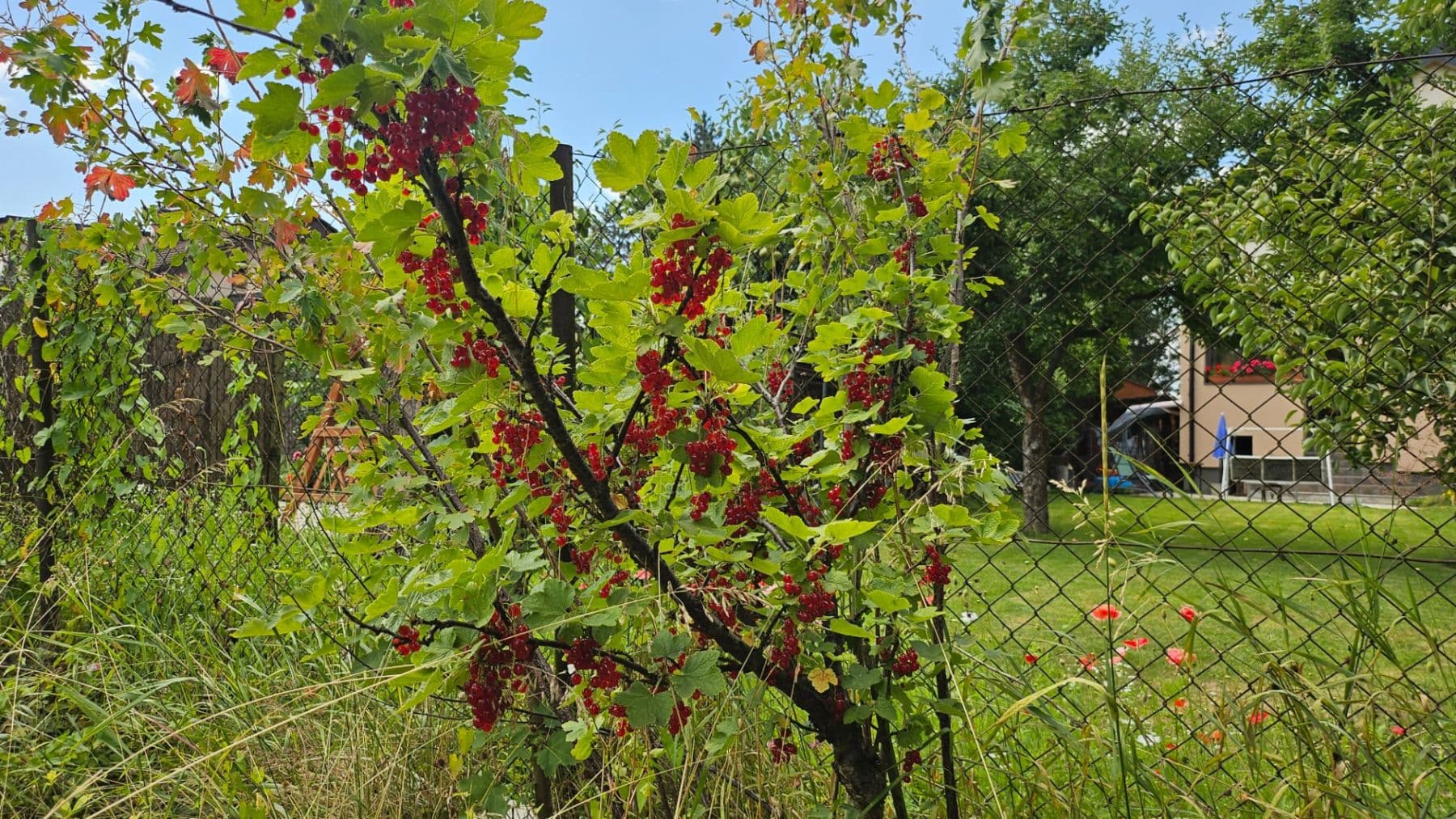 house for sale, 120 m², Čulenova, Žilina, Žilinský Region house for sale, 120 m², Čulenova, Žilina, Žilinský Region