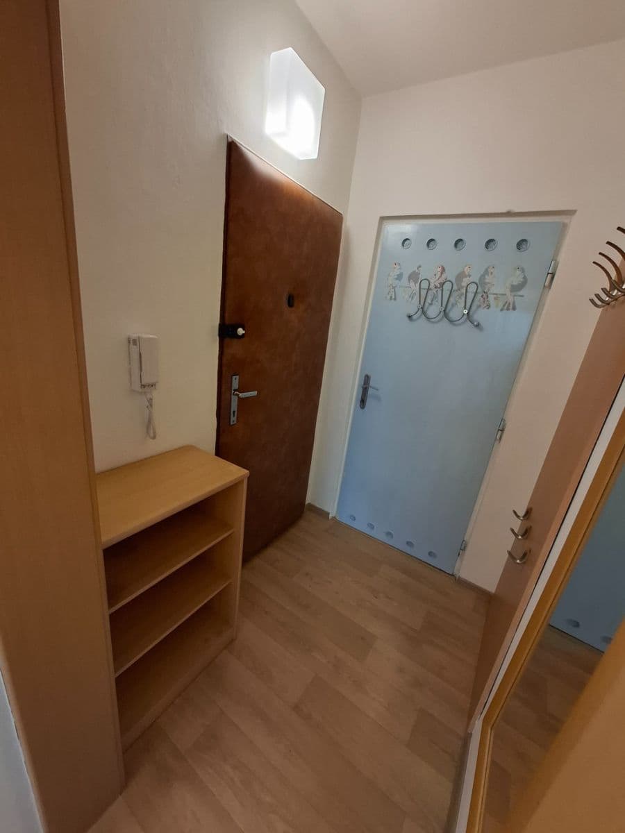 Studio flat to rent, 28 m², Palackého třída, Brno, Jihomoravský Region Studio flat to rent, 28 m², Palackého třída, Brno, Jihomoravský Region