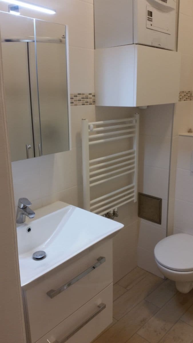 1 bedroom with open-plan kitchen flat to rent, 45 m², Vinohradská, Prague, Prague 1 bedroom with open-plan kitchen flat to rent, 45 m², Vinohradská, Prague, Prague