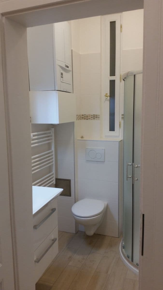 1 bedroom with open-plan kitchen flat to rent, 45 m², Vinohradská, Prague, Prague 1 bedroom with open-plan kitchen flat to rent, 45 m², Vinohradská, Prague, Prague