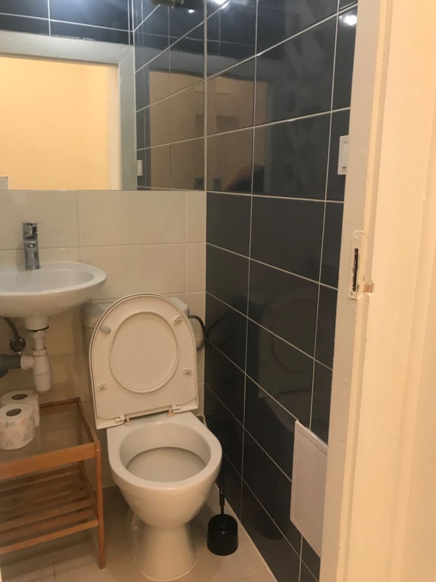 1 bedroom with open-plan kitchen flat to rent, 48 m², U Průhonu, Prague, Prague 1 bedroom with open-plan kitchen flat to rent, 48 m², U Průhonu, Prague, Prague
