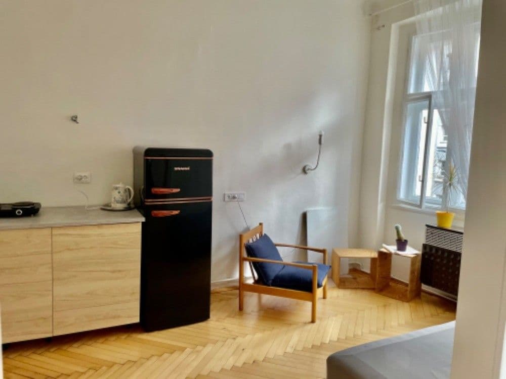 1 bedroom with open-plan kitchen flat to rent, 48 m², U Průhonu, Prague, Prague 1 bedroom with open-plan kitchen flat to rent, 48 m², U Průhonu, Prague, Prague