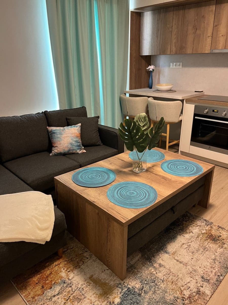 1 bedroom with open-plan kitchen flat to rent, 40 m², Tlustého, Prague, Prague 1 bedroom with open-plan kitchen flat to rent, 40 m², Tlustého, Prague, Prague