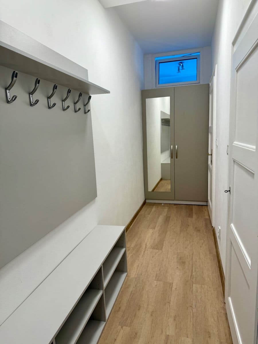 1 bedroom with open-plan kitchen flat to rent, 52 m², U Svépomoci, Prague, Prague 1 bedroom with open-plan kitchen flat to rent, 52 m², U Svépomoci, Prague, Prague