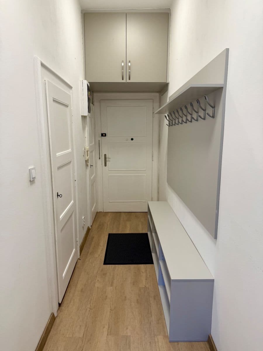 1 bedroom with open-plan kitchen flat to rent, 52 m², U Svépomoci, Prague, Prague 1 bedroom with open-plan kitchen flat to rent, 52 m², U Svépomoci, Prague, Prague