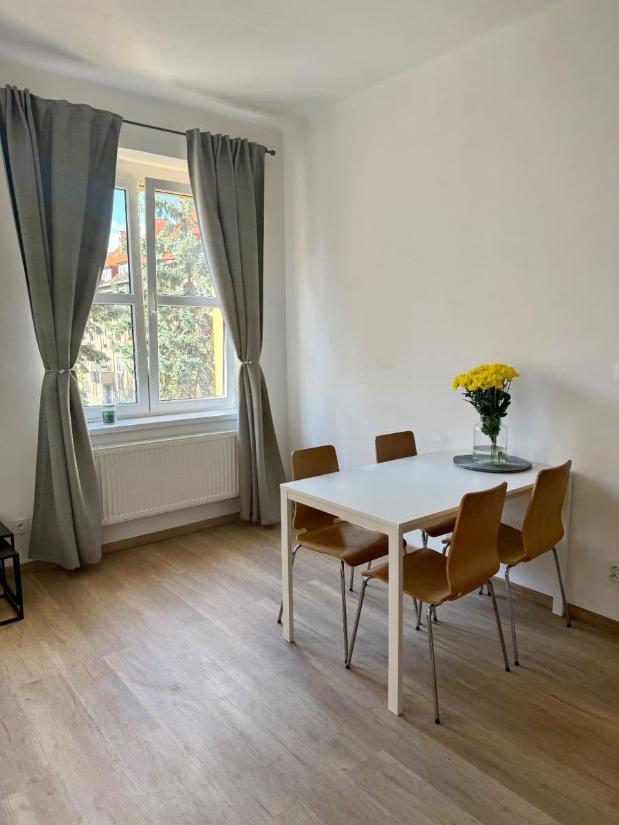 1 bedroom with open-plan kitchen flat to rent, 52 m², U Svépomoci, Prague, Prague 1 bedroom with open-plan kitchen flat to rent, 52 m², U Svépomoci, Prague, Prague