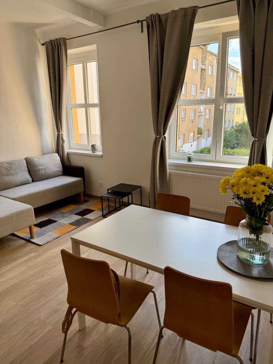 1 bedroom with open-plan kitchen flat to rent, 52 m², U Svépomoci, Prague, Prague 1 bedroom with open-plan kitchen flat to rent, 52 m², U Svépomoci, Prague, Prague