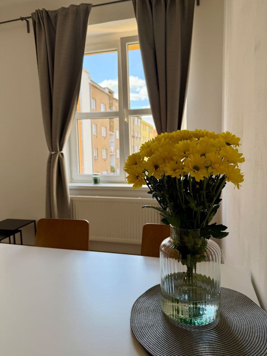 1 bedroom with open-plan kitchen flat to rent, 52 m², U Svépomoci, Prague, Prague 1 bedroom with open-plan kitchen flat to rent, 52 m², U Svépomoci, Prague, Prague
