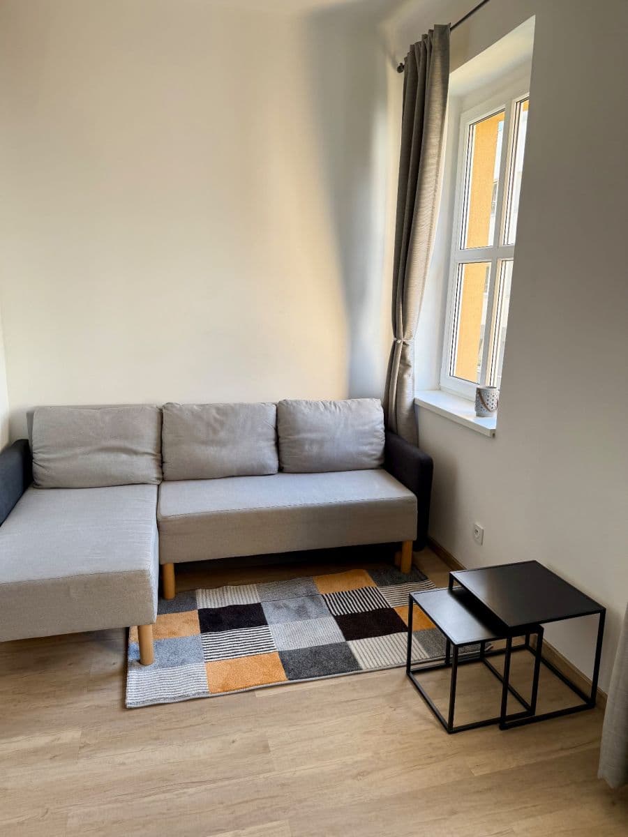 1 bedroom with open-plan kitchen flat to rent, 52 m², U Svépomoci, Prague, Prague 1 bedroom with open-plan kitchen flat to rent, 52 m², U Svépomoci, Prague, Prague
