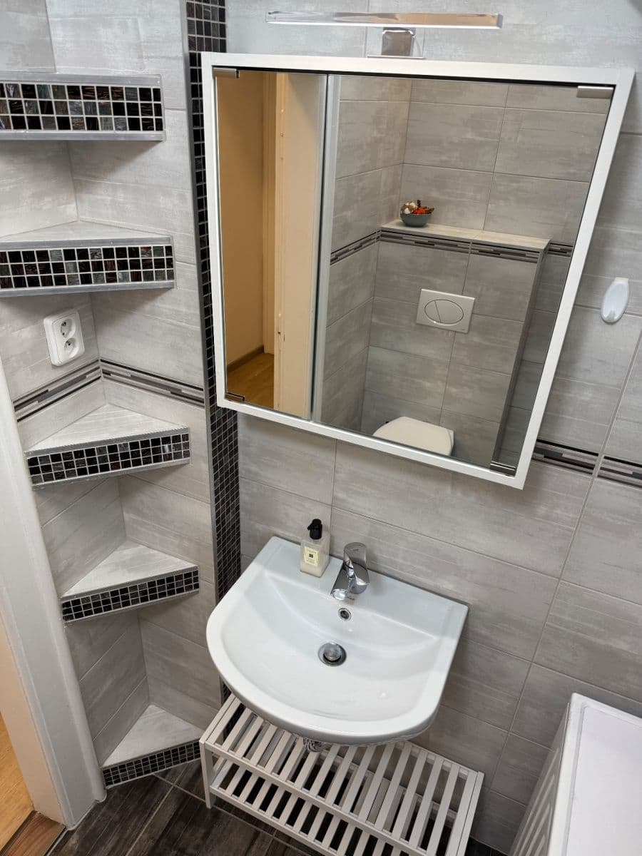 1 bedroom with open-plan kitchen flat to rent, 52 m², U Svépomoci, Prague, Prague 1 bedroom with open-plan kitchen flat to rent, 52 m², U Svépomoci, Prague, Prague