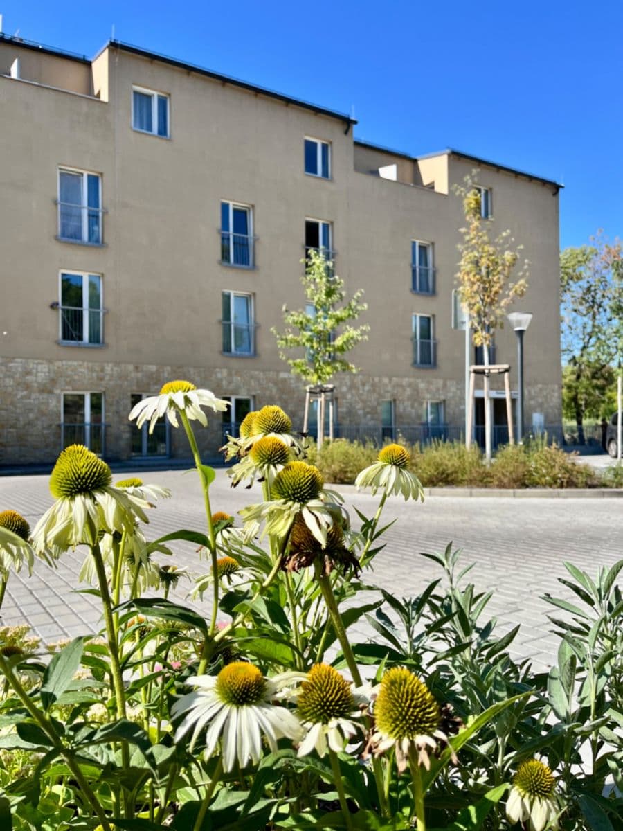 Studio flat to rent, 22 m², V Kněžívce, Tuchoměřice, Středočeský Region Studio flat to rent, 22 m², V Kněžívce, Tuchoměřice, Středočeský Region