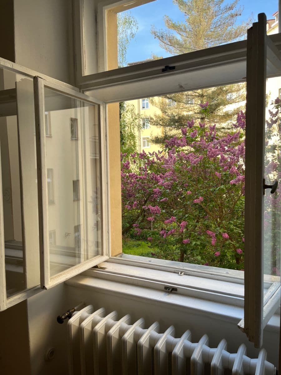 1 bedroom with open-plan kitchen flat to rent, 45 m², Rejskova, Prague, Prague 1 bedroom with open-plan kitchen flat to rent, 45 m², Rejskova, Prague, Prague