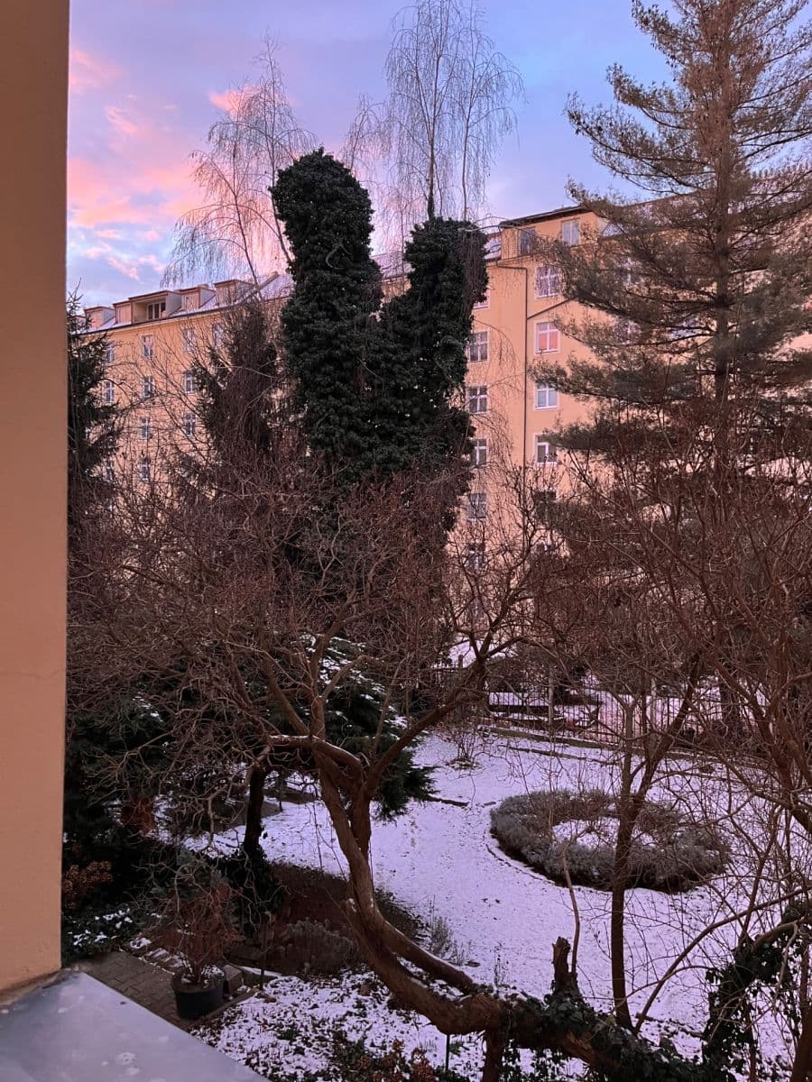 1 bedroom with open-plan kitchen flat to rent, 45 m², Rejskova, Prague, Prague 1 bedroom with open-plan kitchen flat to rent, 45 m², Rejskova, Prague, Prague