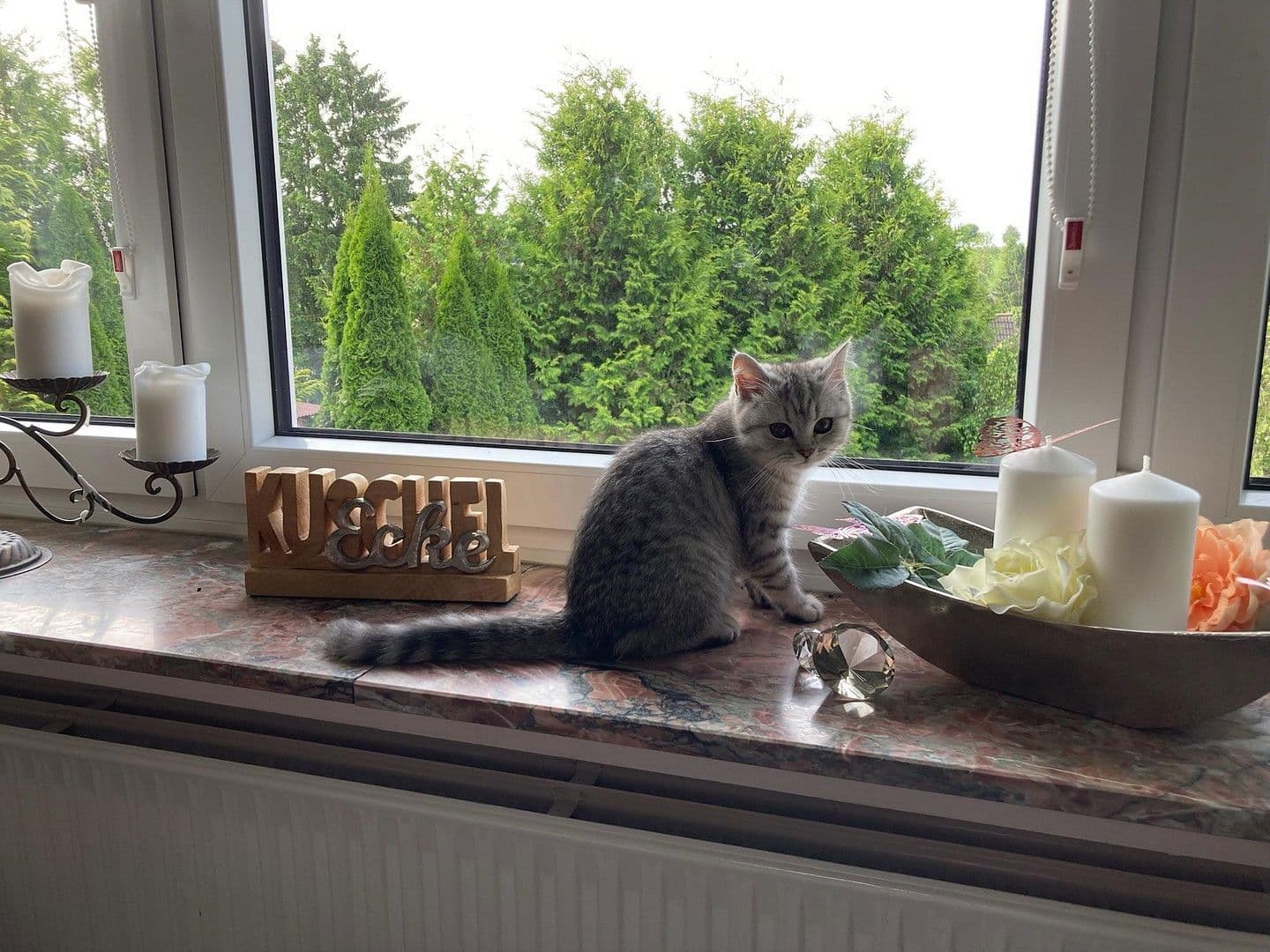 house for sale, 118 m², Brakel, North Rhine-Westphalia house for sale, 118 m², Brakel, North Rhine-Westphalia