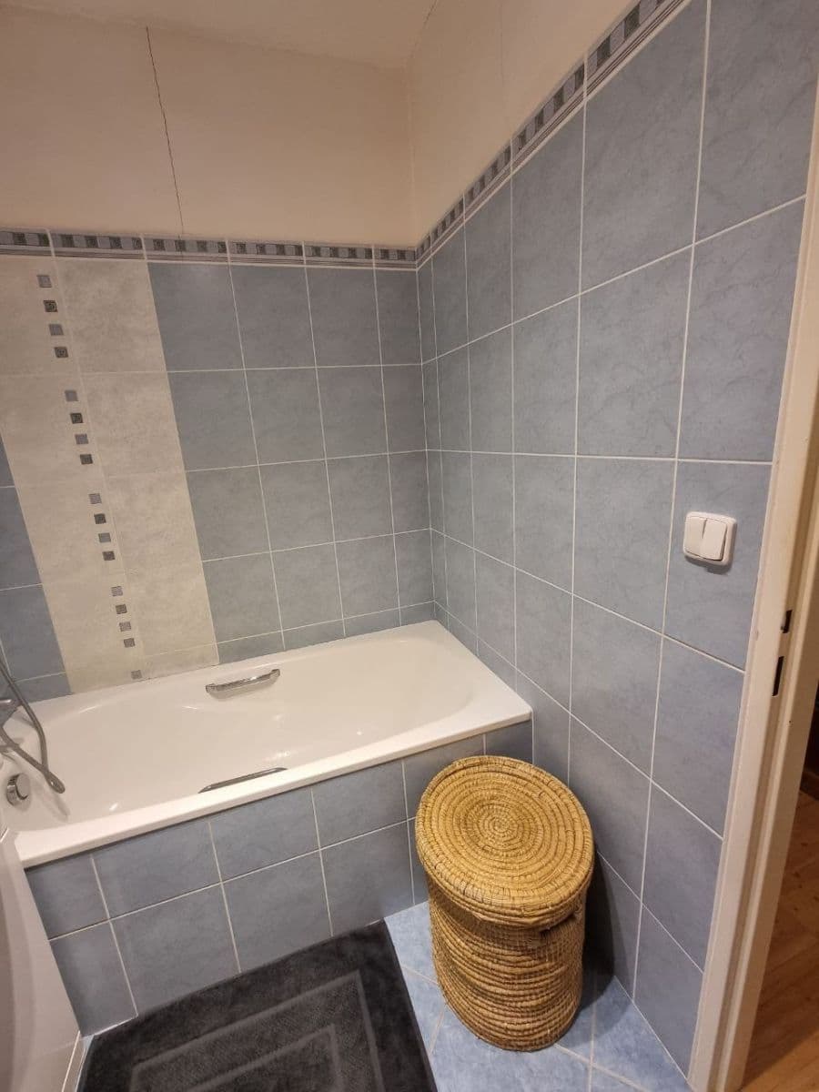 1 bedroom with open-plan kitchen flat to rent, 49 m², Nad Údolím, Husinec, Středočeský Region 1 bedroom with open-plan kitchen flat to rent, 49 m², Nad Údolím, Husinec, Středočeský Region