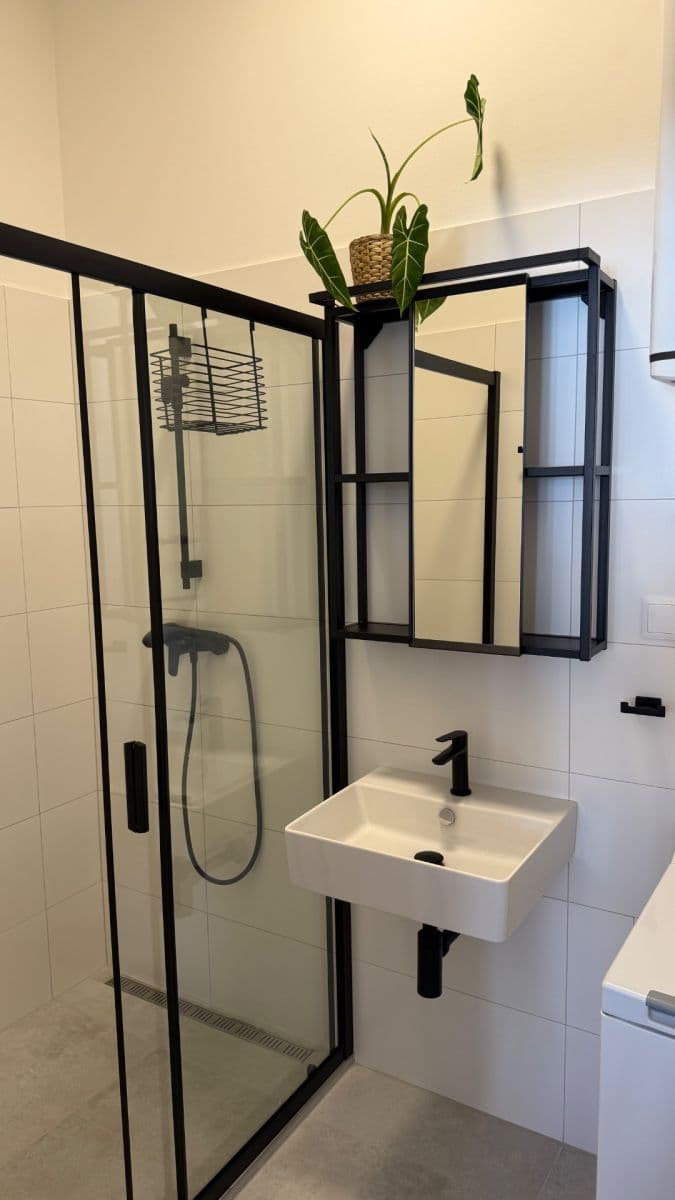 1 bedroom with open-plan kitchen flat to rent, 48 m², Koulova, Prague, Prague 1 bedroom with open-plan kitchen flat to rent, 48 m², Koulova, Prague, Prague