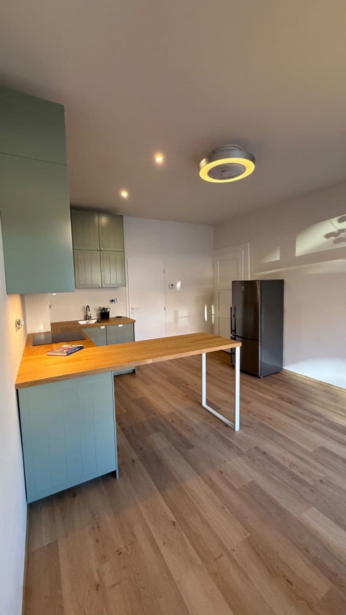 1 bedroom with open-plan kitchen flat to rent, 48 m², Koulova, Prague, Prague 1 bedroom with open-plan kitchen flat to rent, 48 m², Koulova, Prague, Prague
