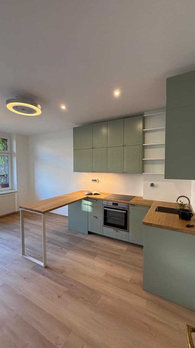 1 bedroom with open-plan kitchen flat to rent, 48 m², Koulova, Prague, Prague 1 bedroom with open-plan kitchen flat to rent, 48 m², Koulova, Prague, Prague