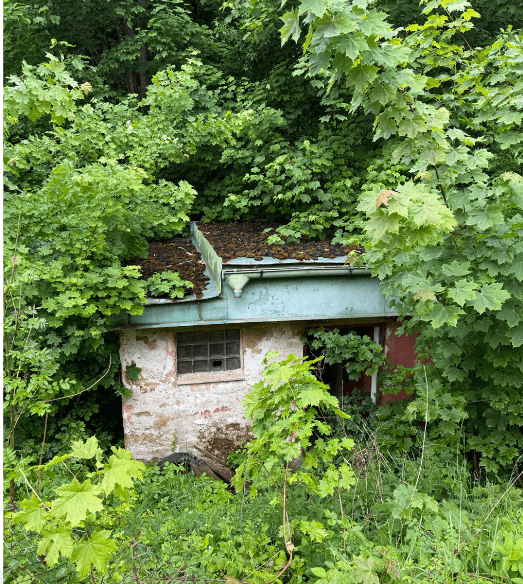 plot for sale, 728 m², Cheb, Karlovarský Region plot for sale, 728 m², Cheb, Karlovarský Region