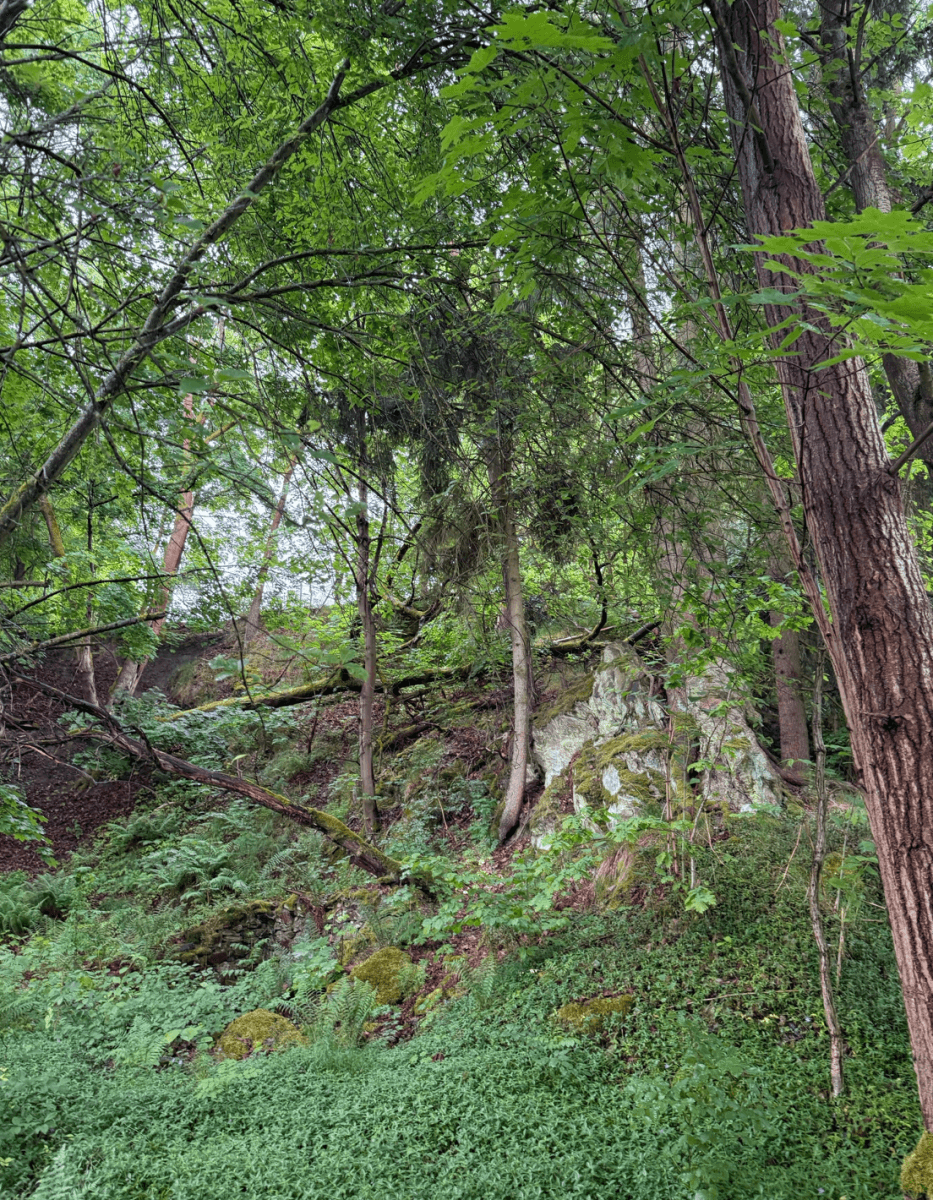 plot for sale, 728 m², Cheb, Karlovarský Region plot for sale, 728 m², Cheb, Karlovarský Region