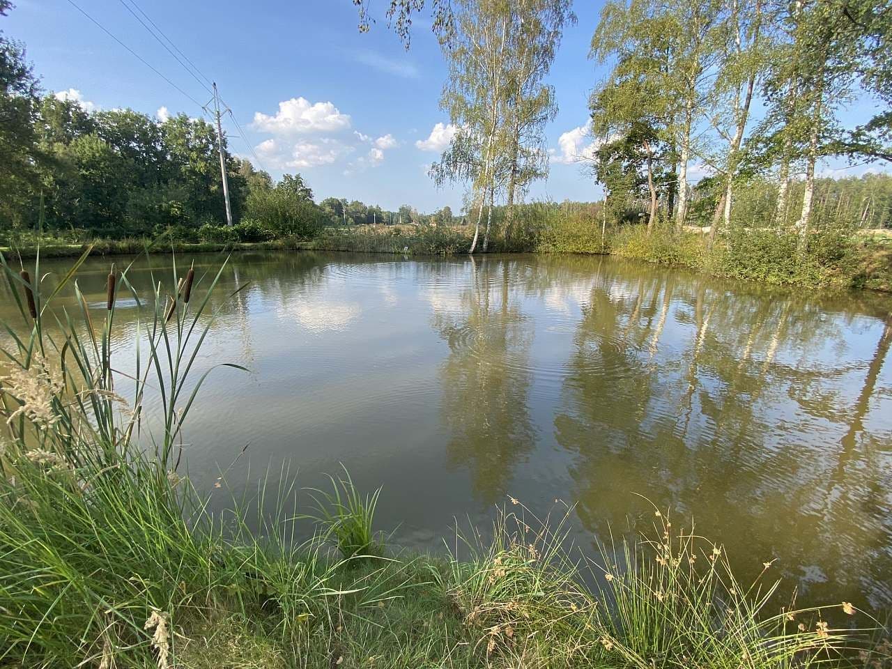 recreational property to rent, 0 m², Řípec, Jihočeský Region recreational property to rent, 0 m², Řípec, Jihočeský Region