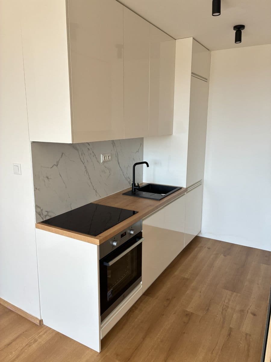 1 bedroom with open-plan kitchen flat to rent, 42 m², Brandlova, Prague, Prague 1 bedroom with open-plan kitchen flat to rent, 42 m², Brandlova, Prague, Prague