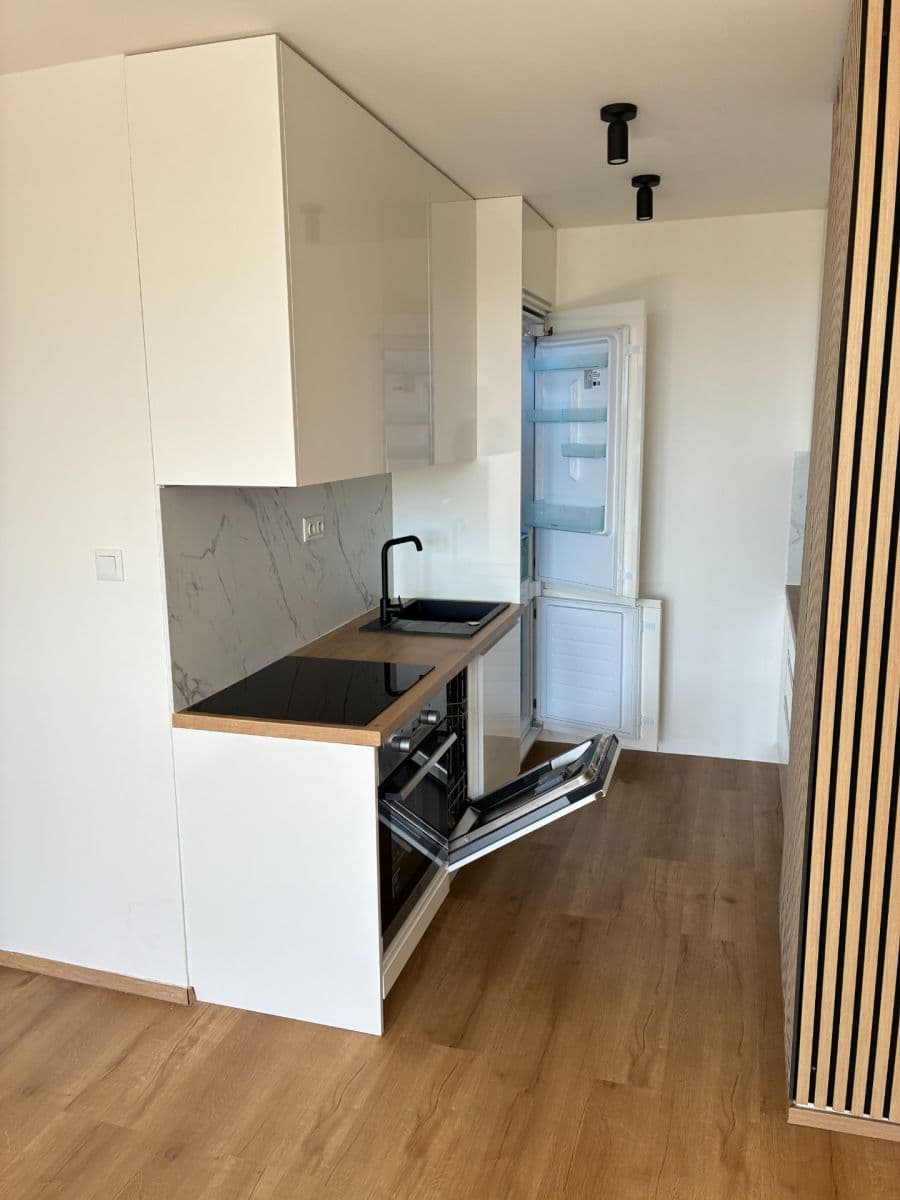 1 bedroom with open-plan kitchen flat to rent, 42 m², Brandlova, Prague, Prague 1 bedroom with open-plan kitchen flat to rent, 42 m², Brandlova, Prague, Prague