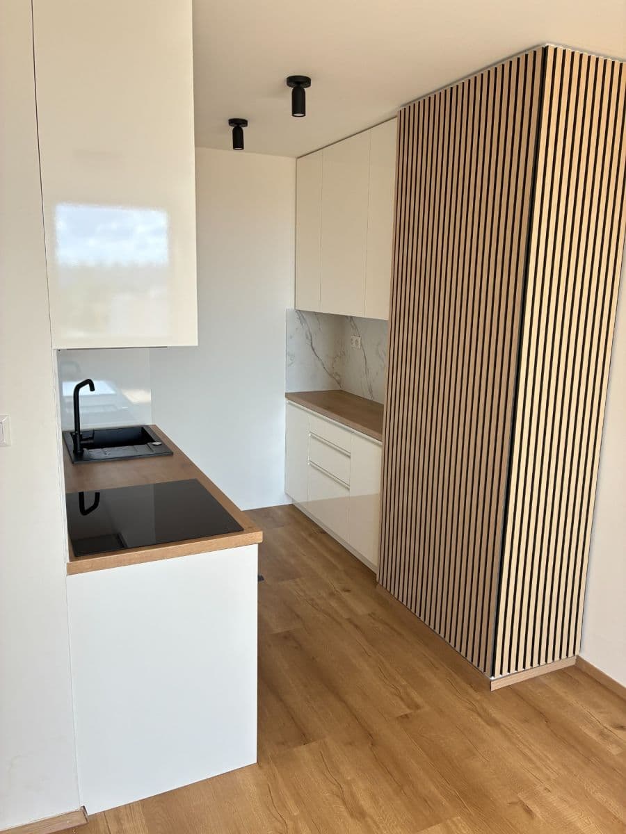 1 bedroom with open-plan kitchen flat to rent, 42 m², Brandlova, Prague, Prague 1 bedroom with open-plan kitchen flat to rent, 42 m², Brandlova, Prague, Prague