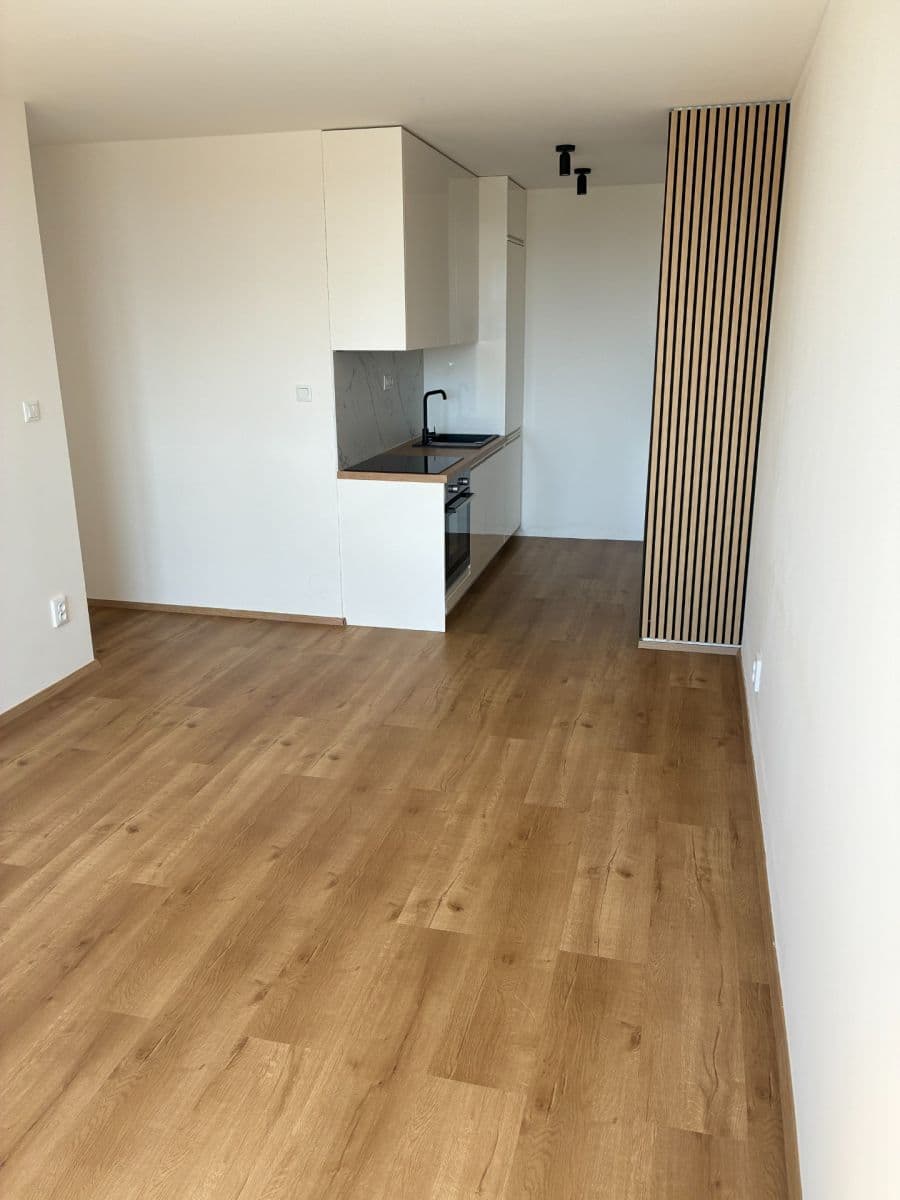 1 bedroom with open-plan kitchen flat to rent, 42 m², Brandlova, Prague, Prague 1 bedroom with open-plan kitchen flat to rent, 42 m², Brandlova, Prague, Prague