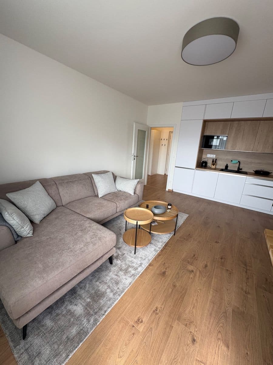 1 bedroom with open-plan kitchen flat to rent, 52 m², Sedlářova, Prague, Prague 1 bedroom with open-plan kitchen flat to rent, 52 m², Sedlářova, Prague, Prague