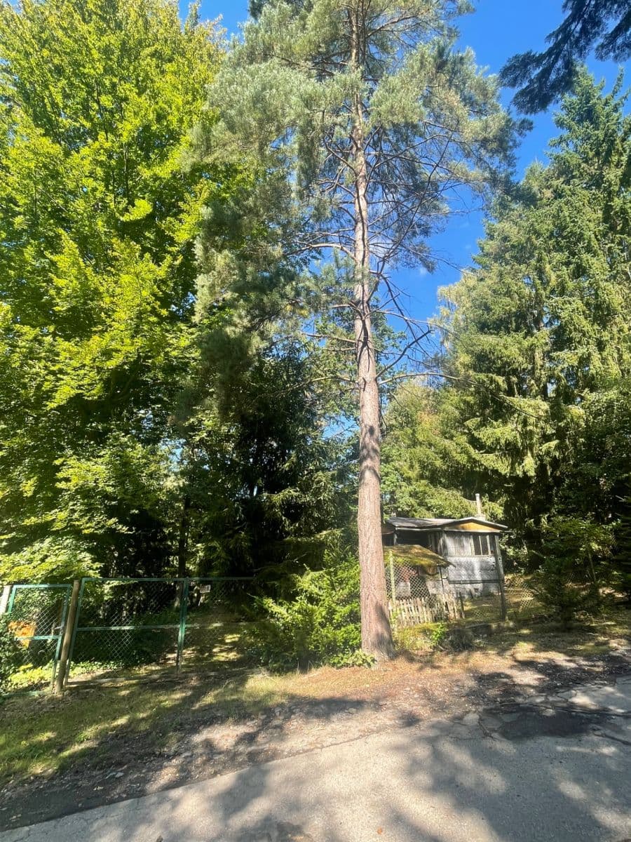 plot for sale, 1,003 m², Lesní, Jevany, Středočeský Region plot for sale, 1,003 m², Lesní, Jevany, Středočeský Region