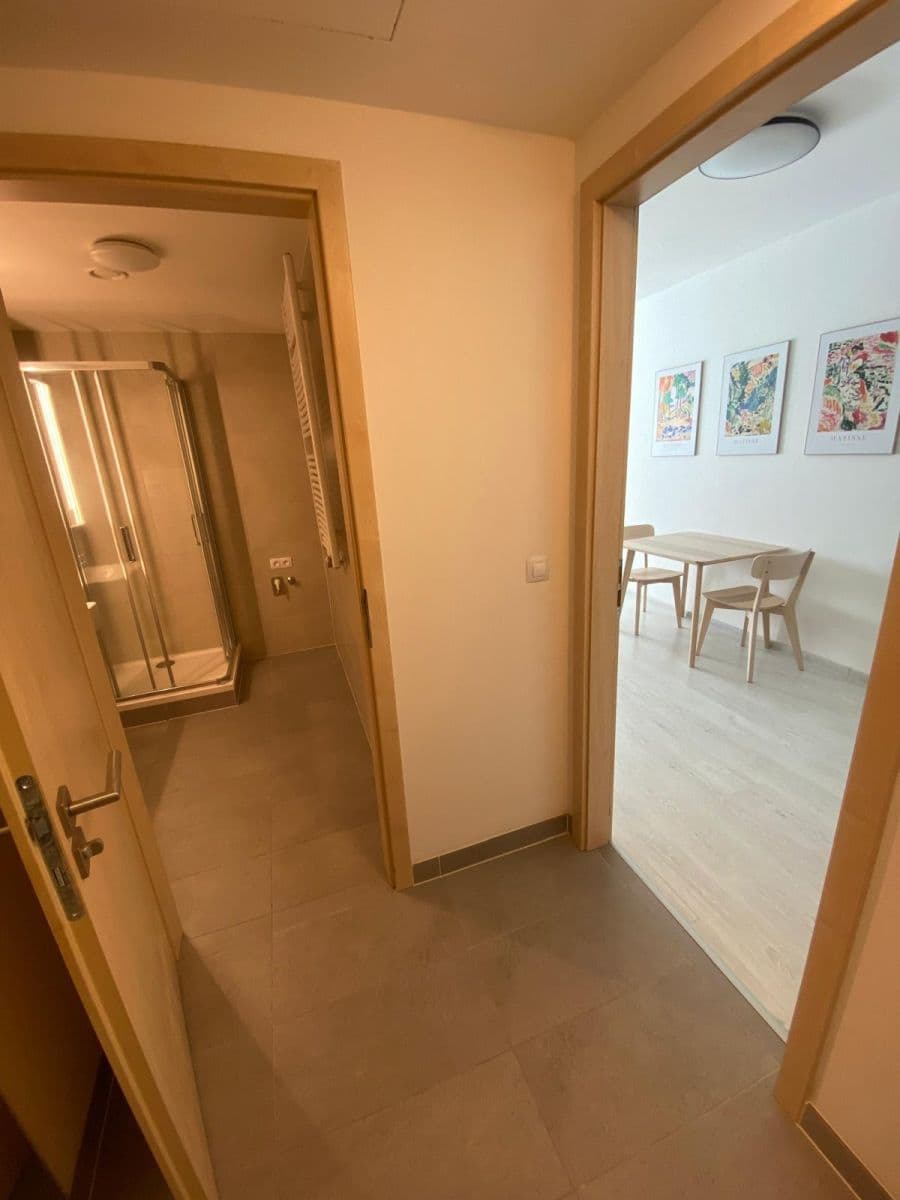 Studio flat to rent, 42 m², Petržílkova, Prague, Prague Studio flat to rent, 42 m², Petržílkova, Prague, Prague
