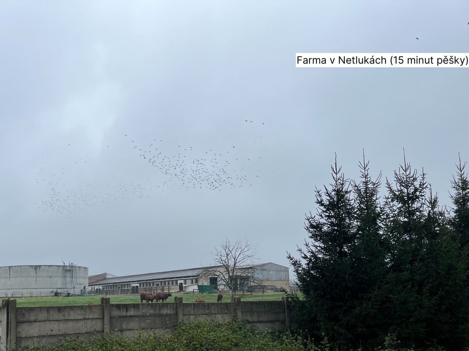 1 bedroom with open-plan kitchen flat for sale, 60 m², Václava Trojana, Prague, Prague 1 bedroom with open-plan kitchen flat for sale, 60 m², Václava Trojana, Prague, Prague