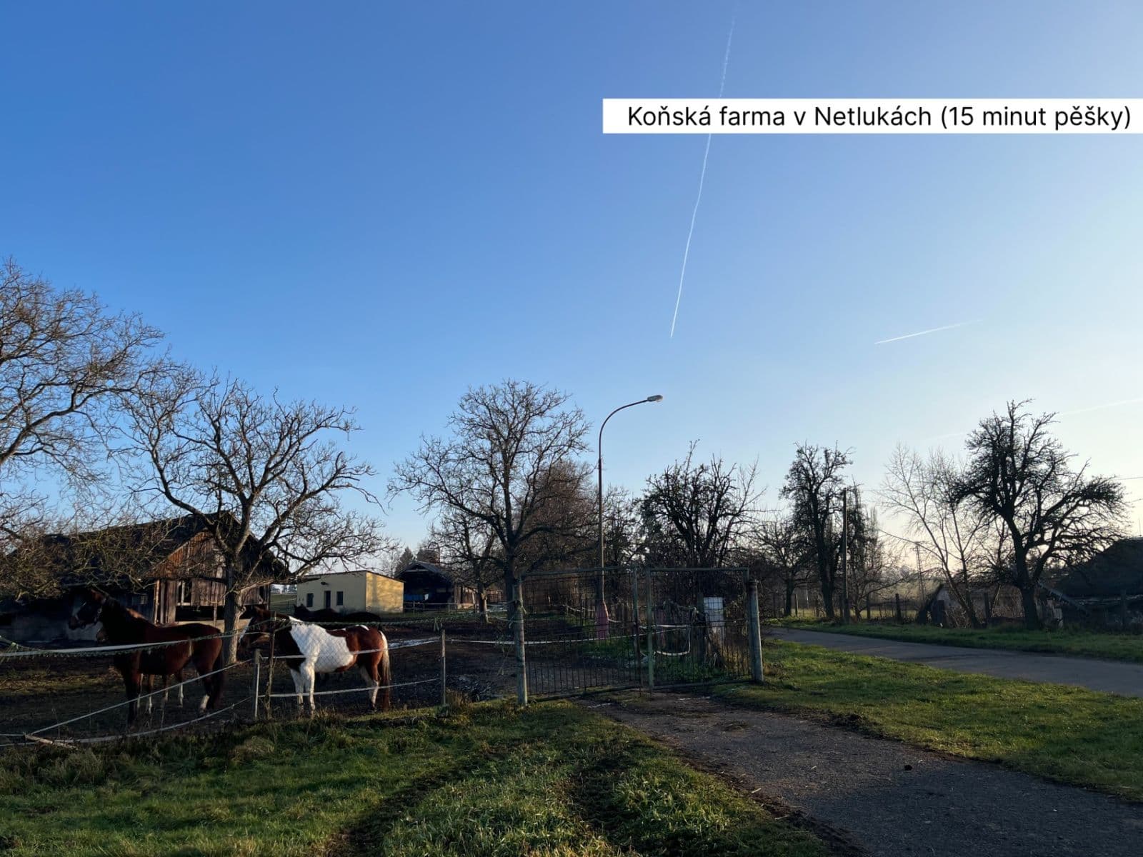 1 bedroom with open-plan kitchen flat for sale, 60 m², Václava Trojana, Prague, Prague 1 bedroom with open-plan kitchen flat for sale, 60 m², Václava Trojana, Prague, Prague