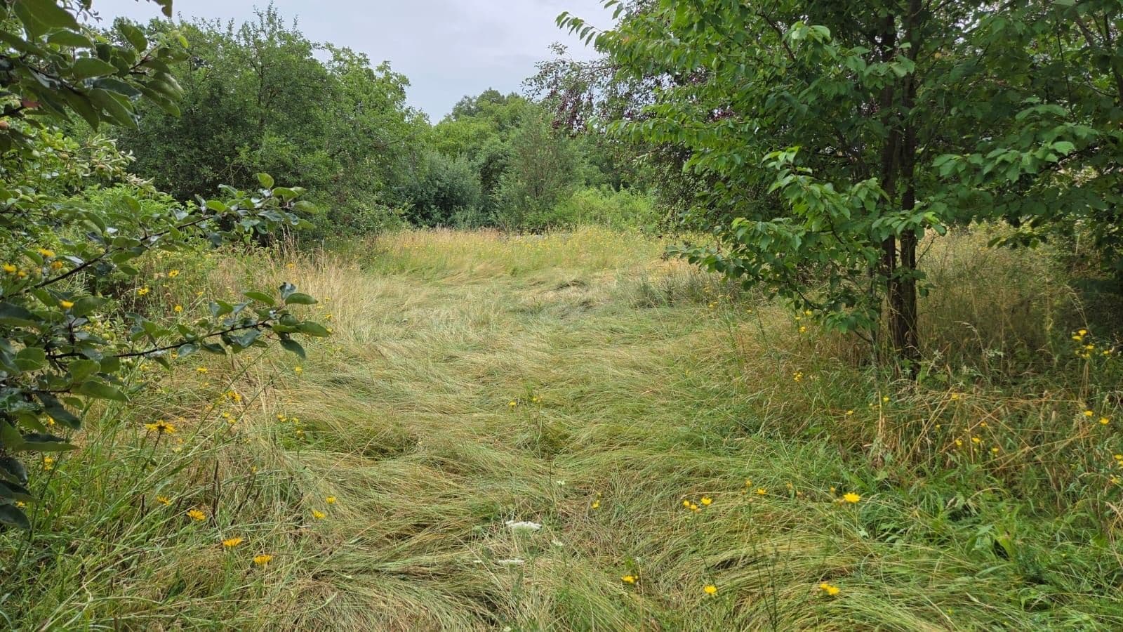 plot for sale, 6,802 m², Městec Králové, Středočeský Region plot for sale, 6,802 m², Městec Králové, Středočeský Region