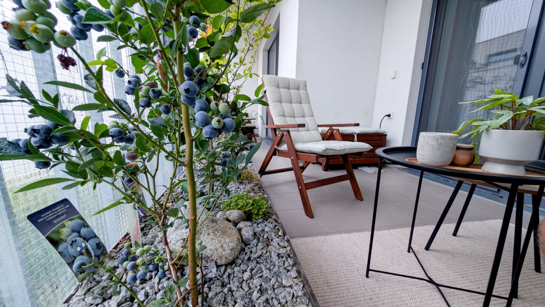 1 bedroom with open-plan kitchen flat to rent, 82 m², Rokycanova, Olomouc, Olomoucký Region 1 bedroom with open-plan kitchen flat to rent, 82 m², Rokycanova, Olomouc, Olomoucký Region