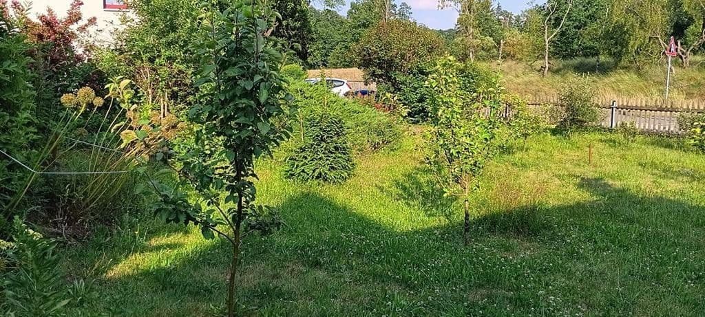 house for sale, 105 m², Muldentalerstr. 13, Großschirma, Saxony house for sale, 105 m², Muldentalerstr. 13, Großschirma, Saxony