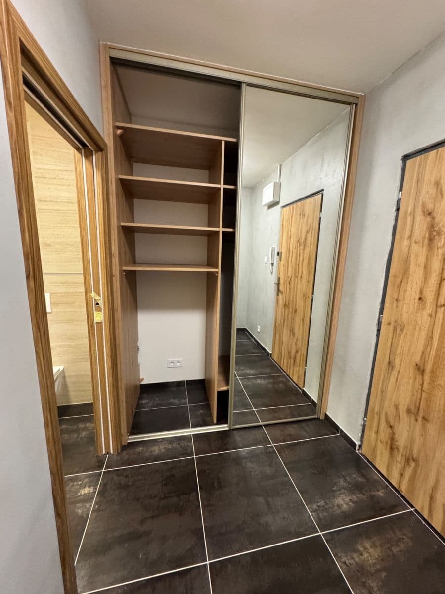 1 bedroom with open-plan kitchen flat to rent, 41 m², Na Úlehli, Prague, Prague 1 bedroom with open-plan kitchen flat to rent, 41 m², Na Úlehli, Prague, Prague