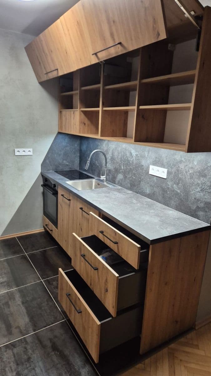 1 bedroom with open-plan kitchen flat to rent, 41 m², Na Úlehli, Prague, Prague 1 bedroom with open-plan kitchen flat to rent, 41 m², Na Úlehli, Prague, Prague