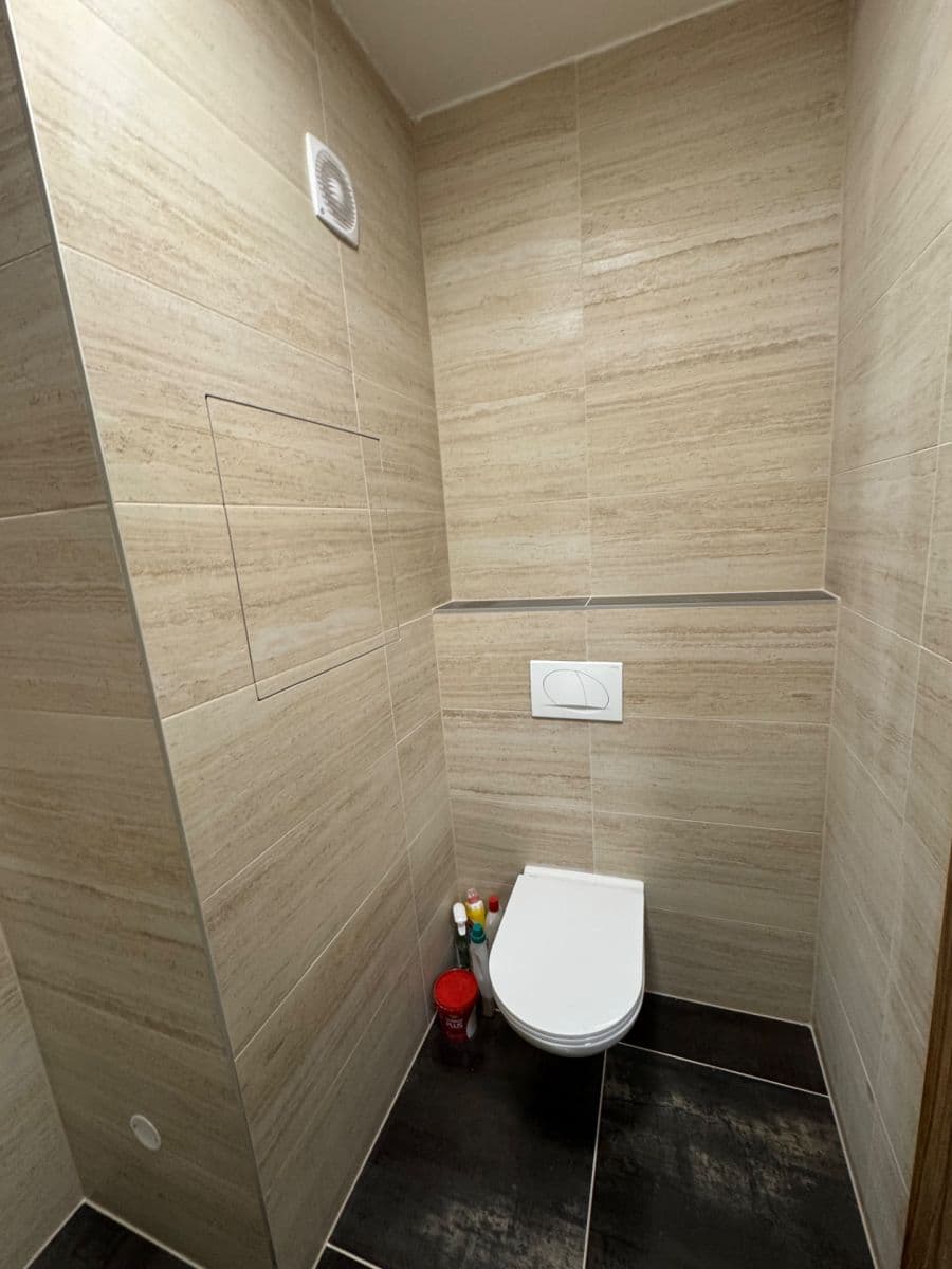 1 bedroom with open-plan kitchen flat to rent, 41 m², Na Úlehli, Prague, Prague 1 bedroom with open-plan kitchen flat to rent, 41 m², Na Úlehli, Prague, Prague