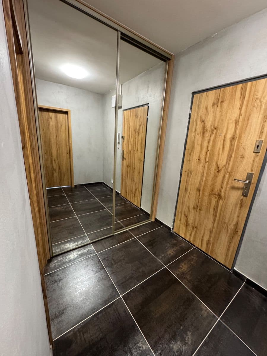 1 bedroom with open-plan kitchen flat to rent, 41 m², Na Úlehli, Prague, Prague 1 bedroom with open-plan kitchen flat to rent, 41 m², Na Úlehli, Prague, Prague