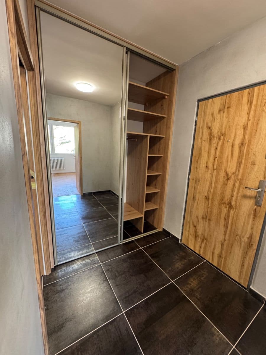 1 bedroom with open-plan kitchen flat to rent, 41 m², Na Úlehli, Prague, Prague 1 bedroom with open-plan kitchen flat to rent, 41 m², Na Úlehli, Prague, Prague